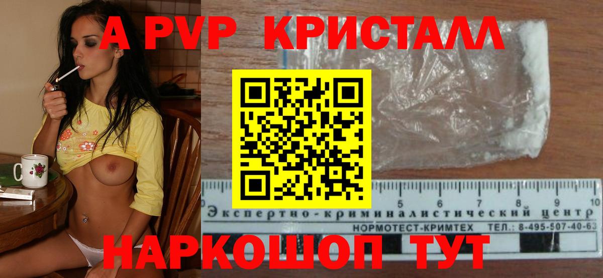 A PVP СК Менделеевск