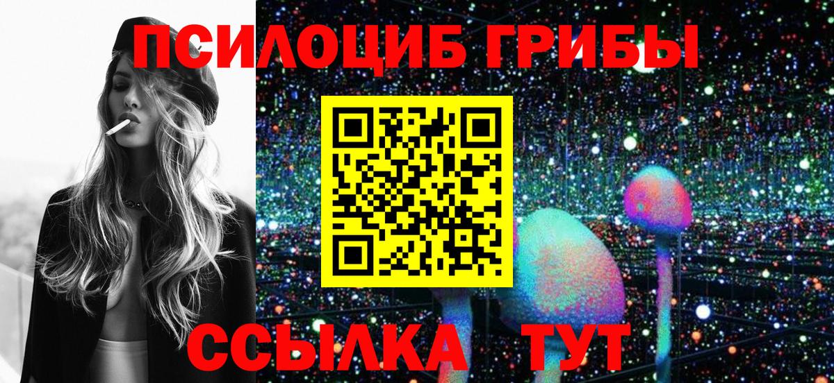 что такое   Галлюциногенные грибы Psilocybe  Вход с VPN  Менделеевск  Галлюциногенные грибы Psilocybine cubensis 